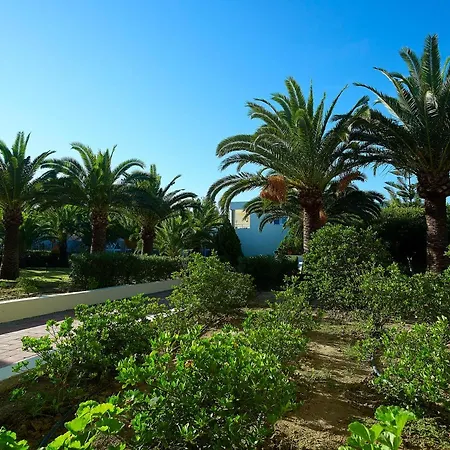 Eleftheria 3* Agia Marina (Crete)